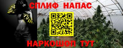 mdpv Аша