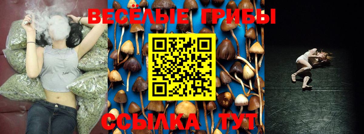 Нальчик  продажа наркотиков  Вход с VPN  Галлюциногенные грибы ЛСД  Галлюциногенные грибы прущие грибы 